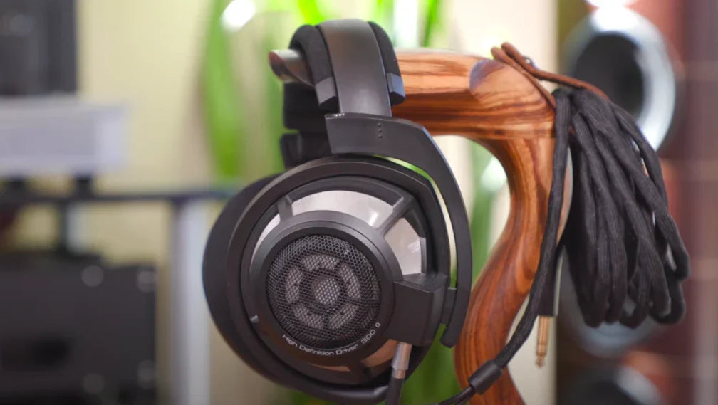 Sennheiser HD800S headphones on wooden stand, high-end audio gear at The Source AV