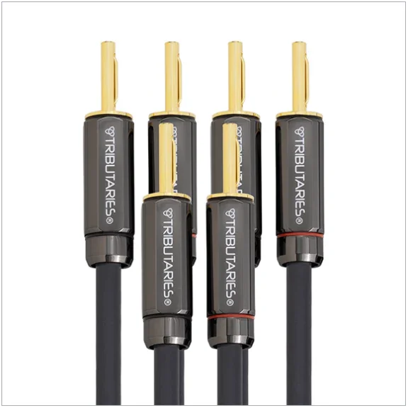 Tributaries Cable - Series 6 Bi-Wire Cable