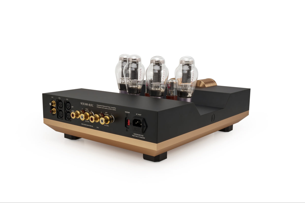 Woo Audio - WA300