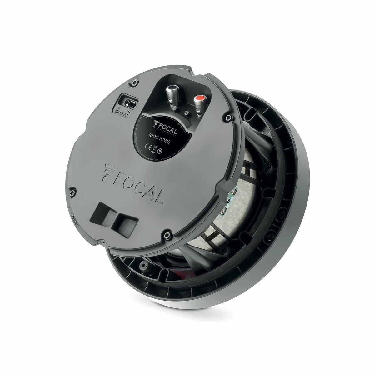 Focal - 1000 ICW6