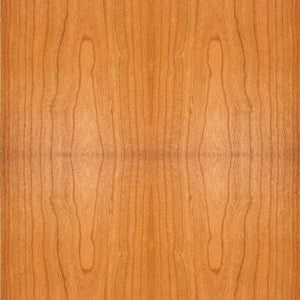 ATC - SCM100PSL (Pair)